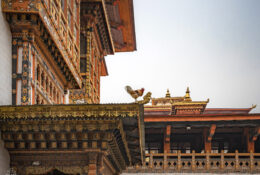 Bhutan_2025 (72/79)
